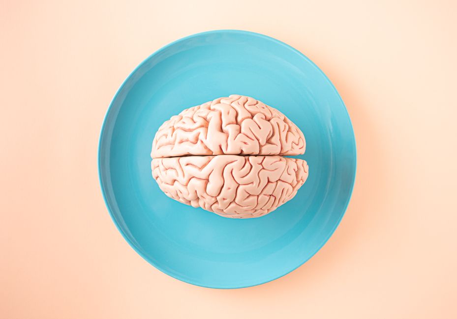 Kyiv Scientists Show How Meditation Physically Reshapes the Brain